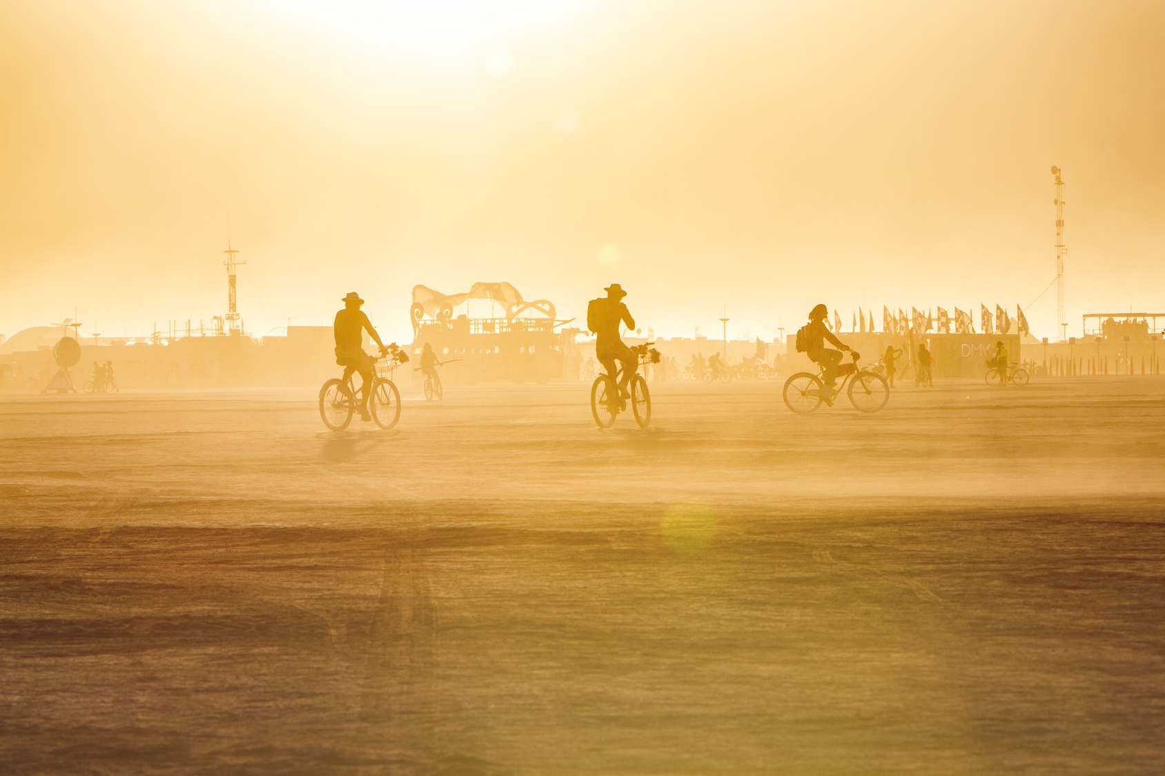 Bugs Crash Burning Man Festival; Rashes Expected - J. Price McNamara ...