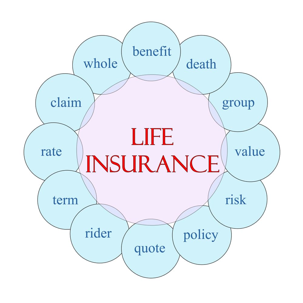 A circular diagram illustrating the concept of life insurance, using pink and blue colors, featuring key terms like benefit, death, policy, and other relevant elements.






